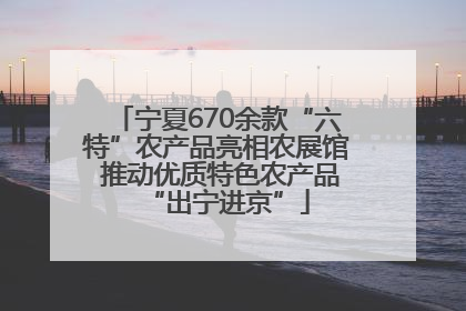 宁夏670余款“六特”农产品亮相农展馆 推动优质特色农产品“出宁进京”